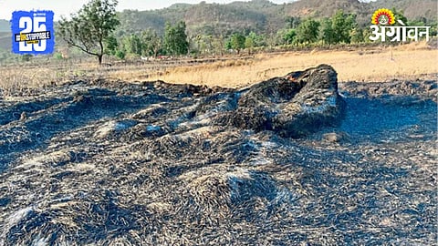 Fire Crop Damage