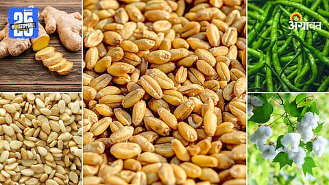 Agriculture Products
