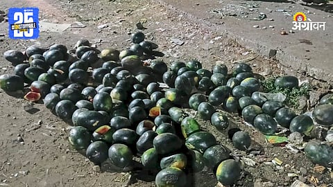Watermelon