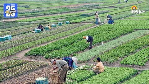 Agriculture