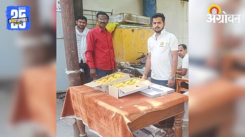 Mango Market