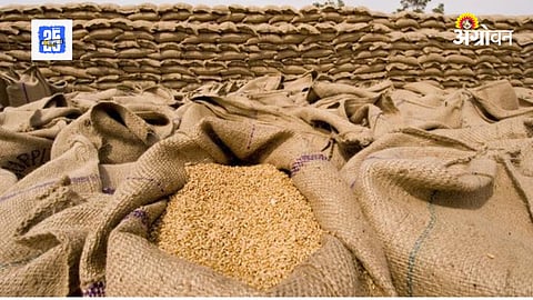 Wheat Export Ban