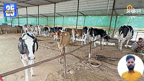 Dairy Farming