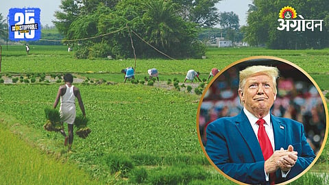 Indian Agriculture