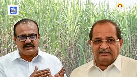 Sugarcane