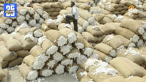 Cotton Market