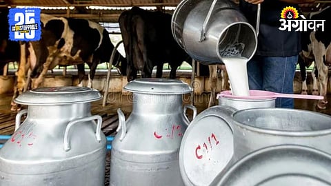 Milk Production