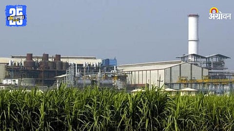 Sugar Industry