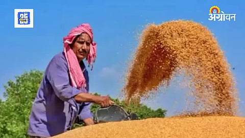 Wheat PDS Distribution