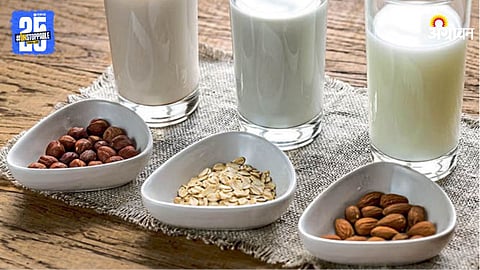 Vegan Dairy