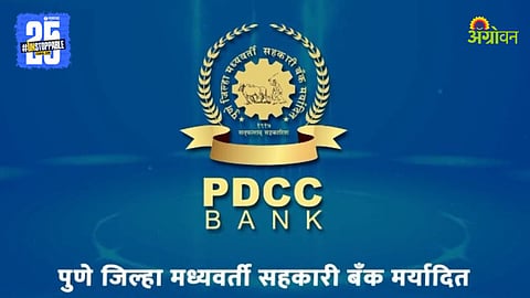 PDCC Bank