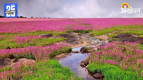 Satara Tourism