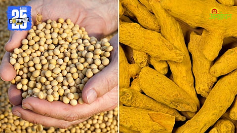 Soybean and Turmeric