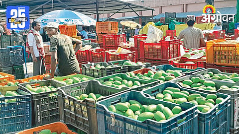 Mango Market