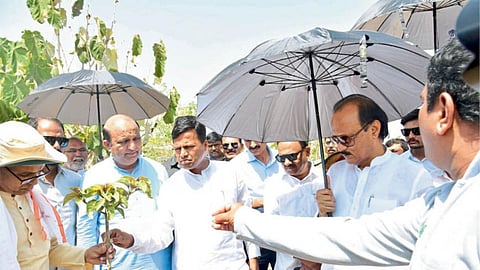 Ajit Pawar