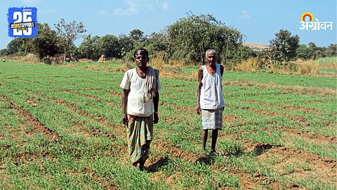 Agriculture