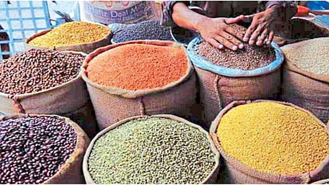 Pulse Cultivation
