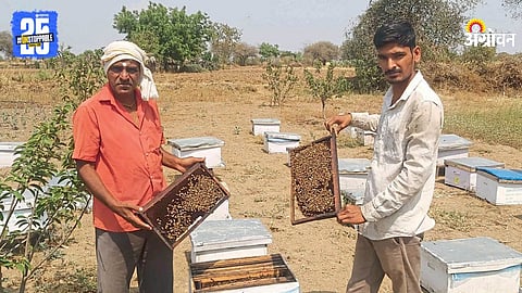 Beekeeping