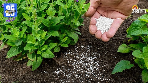 Fertilizer