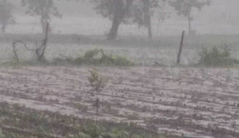 Ahilyanagar Rain