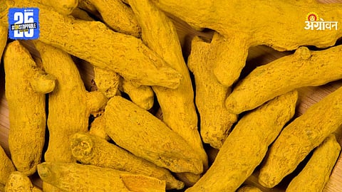 Turmeric