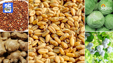 Agriculture Products