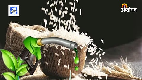 Ethanol Production