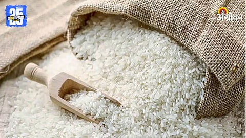 Rice