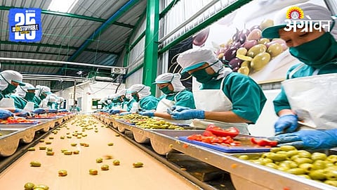 Food Processing