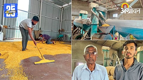 Chana Processing Industry