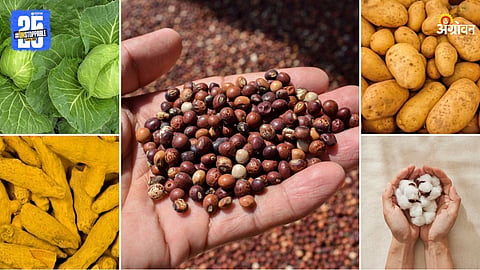 Agriculture Products