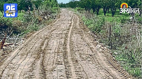 Farm Road