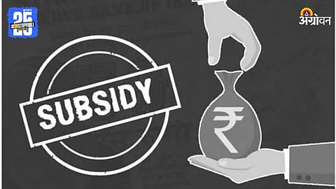 Subsidy