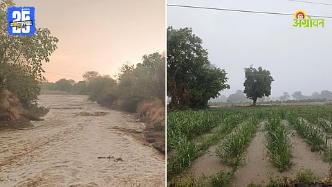 Crop Damage