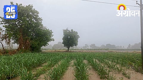 Pre-Monsoon Rain