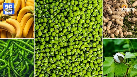 Agriculture Products