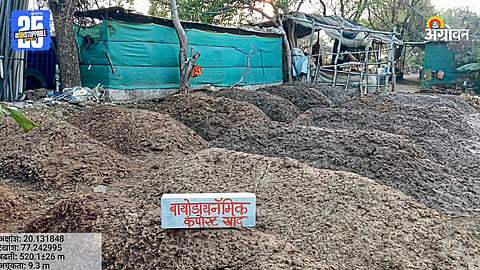 Compost Fertilizer