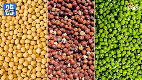 Soybean, Tur, Moong