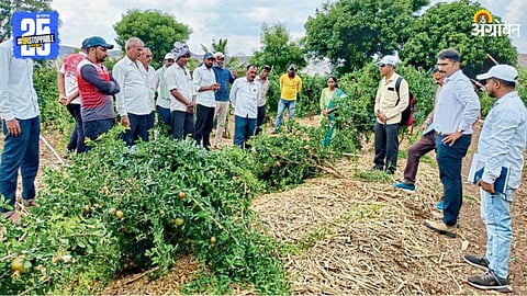 Crop Damage