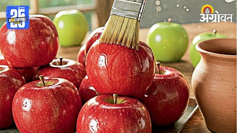 Fruit Waxing Method