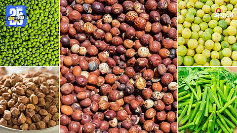 Agriculture Products