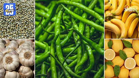 Agriculture Products