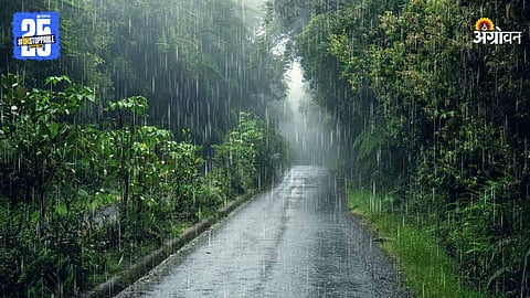 Rain Forecast