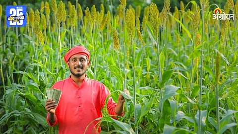 Farmer Subsidy