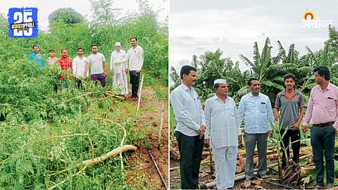 Crop Damage