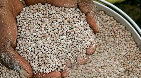 Seed Shortage Latur