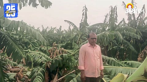 Banana Crop Loss