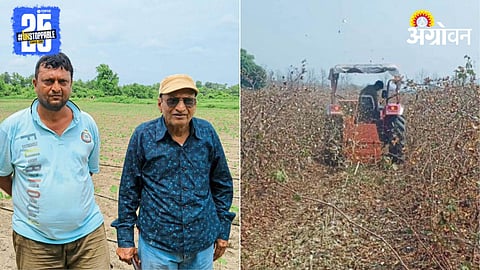Organic Farming Success