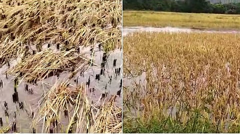 Gondia Farmers
