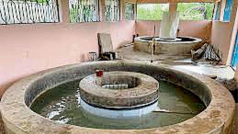 Fish Artificial Breeding